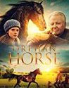 Nonton Film Online Orphan Horse 2019