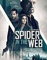 Nonton Film Online Spider in the Web 2019