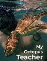 Nonton Movie My Octopus Teacher 2020