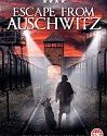 Nonton Movie Escape from Auschwitz 2020