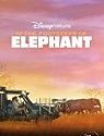 Nonton Film In the Footsteps of Elephant 2020
