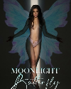 Moonlight Butterfly 2022