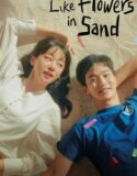 Drama Korea Like Flowers In Sand 2023