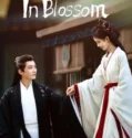 Drama China In Blossom Subtitle Indonesia 2024